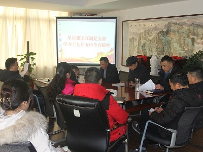 星星集團直屬黨支部集中學(xué)習(xí)黨的十九屆五中全會精神